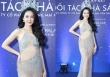 'Nàng hậu thị phi' Bùi Quỳnh Hoa lại gây tranh cãi vì lộ nội y kém duyên trong họp báo
