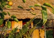 Những căn bếp “triệu view” trên đỉnh núi