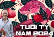 Bậc thầy phong thủy tiết lộ vận mệnh tuổi Tỵ năm 2024: 'Họa vô đơn chí, phúc bất trùng lai'