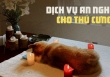 Dịch vụ an nghỉ cho thú cưng: Người trong nghề bần thần trước nhiều hình ảnh đau đớn, đứng trước mặt khách nhớ 1 điều tối kỵ! 