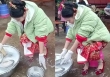 Tranh cãi cảnh cô dâu tất bật rửa bát trong ngày cưới, cách mẹ chồng đáp trả khi hàng xóm khuyên cô dâu nghỉ tay khiến dân mạng sục sôi
