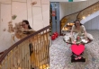 Xôn xao clip 'đại gia tai tiếng' Hoàng Hường khoe của bằng cách ném tiền khắp nhà, hành xử 'tệ' với tiền có thể phải trả giá đắt?