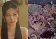 'Trò lố' của Nam Em với khán giả tặng hoa tiền