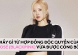 Thấy gì từ hợp đồng độc quyền của Rosé (BLACKPINK) vừa được công bố?