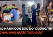 Vụ nhà chồng bạo hành, gọi con dâu là 'yêu quái đầu thai': 5 cháu nhỏ được 'giải cứu' thành công