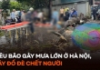 Siêu bão gây mưa lớn ở Hà Nội, cây đổ đè chết người