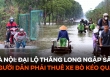 Hà Nội: Ngập sâu trên đại lộ Thăng Long, người dân phải bỏ 50.000 đồng thuê xe bò vượt qua