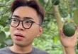 Clip về Minh Dự có gì mà bất ngờ viral trở lại?