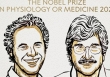 Giải Nobel Y sinh 2024 vinh danh phát minh RNA siêu nhỏ trong điều hòa gene