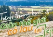 Khám phá vẻ tuyệt đẹp của những đồi cỏ lau tại đảo Jeju, Hàn Quốc 