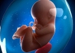 Em bé đầu tiên được thụ thai thông qua công nghệ đột phá Fertilo chào đời