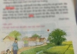 Bà mẹ là cựu học sinh giỏi Tỉnh chê bài đọc trong SGK, hội phụ huynh ngán ngẩm: Chị đã mất 1 phần tuổi thơ!
