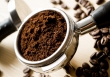 Caffeine, “vũ khí” tiềm năng trong diệt côn trùng