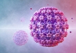 Nhiễm virus HPV làm tăng 40% nguy cơ mắc bệnh tim mạch