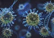 Phát hiện mới trong cuộc chiến chống virus SARS-CoV-2