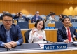 Lịch sử của quyền sở hữu trí tuệ trên thế giới