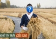 Từ ngôi sao được săn đón, nam thần đình đám 'bỏ phố về quê' làm nông dân nâng khối tài sản lên hàng trăm tỷ đồng