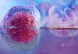 Phương pháp IVF mới giúp tăng khả năng sống của tinh trùng
