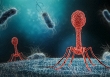Israel phát triển thành công vaccine mRNA đầu tiên chống vi khuẩn kháng thuốc