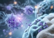 Phát hiện cơ chế tự làm sạch của não, mở ra hy vọng mới trong điều trị bệnh Alzheimer