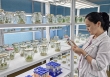 Nữ tiến sĩ với dự án xanh hồi sinh đất nhiễm mặn bằng kỷ tử đen