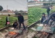 Thản nhiên nhóm củi, nướng đồ ăn trên đường ray tàu hỏa, cặp đôi hứng “mưa gạch đá” từ cộng đồng mạng