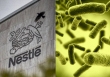  Vì sao chỉ một loại vi khuẩn lại khiến 'ông lớn' ngành sữa Nestlé phải thu hồi hàng loạt sản phẩm?