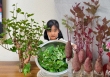 Gừng bonsai lên ngôi nhưng khoai lang thủy canh vẫn hot rần rần: Chị em trồng chơi mà ăn thật cũng “đã cái nư”!