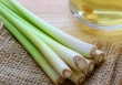 9 loại thực phẩm chữa bệnh quen thuộc mà ông bà bạn đã tin dùng