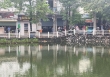 Hà Nội: Phát hiện thi thể đang phân hủy vẫn còn mặc áo mưa dưới hồ