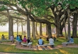 Một chuyến đến Auroville thiên đường trần thế