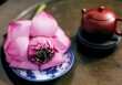 Mùa hoa nở giữa nhân gian