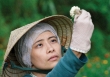 Đạo diễn Marcus Mạnh Cường Vũ: Còn sống, tôi còn làm phim về Memento Mori!