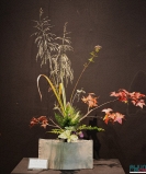 Triển lãm Ikebana Hà Nội lần thứ VIII: “Tương giao” – Cuộc đối thoại giữa cỏ cây và tâm hồn