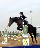 Vinpearl Equestrian Cup 2025: Bước đột phá của thể thao cưỡi ngựa Việt Nam