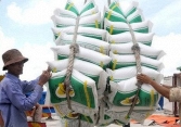 Giá lúa gạo trong nước tăng đồng loạt