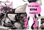 Giá xe máy SYM tháng 2/2021: Dòng cao cấp nhất chưa đến 50 triệu đồng/chiếc
