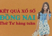 XSDN 3/2/2021 – KQXSDN 3/2/2021: Trực tiếp xổ số Đồng Nai thứ Tư ngày 3/2/2021