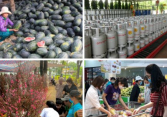 Thị trường tuần qua: Giá vàng giảm mạnh, dưa hấu vụ Tết rớt giá thê thảm