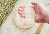 Gạo xuất khẩu Ấn Độ tăng cao nhất trong 3 năm qua
