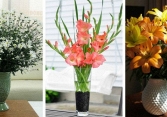 7 cách cắm hoa chuẩn Tết, không chê vào đâu được 