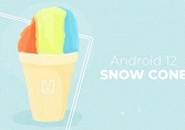 Android 12 có tên gọi là Snow Cone