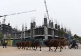 Thị trường bất động sản đã vượt qua giai đoạn khó khăn nhất của đại dịch COVID-19