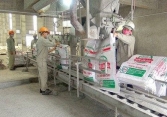Cổ phiếu khuyến nghị ngày 24/2: DGC, HSG, PVB, PVB, MBS, LPB, NT2