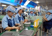 Từ hôm nay, bắt đầu tổng điều tra kinh tế năm 2021