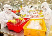 Hai tháng đầu năm cả nước có hơn 18.000 doanh nghiệp mới được thành lập