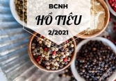 Báo cáo ngành hàng hạt tiêu tháng 2/2021: Việt Nam chiếm 59% thị phần xuất khẩu toàn cầu