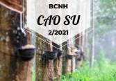 Báo cáo ngành hàng cao su tháng 2/2021: Xuất khẩu sang Hàn Quốc giảm