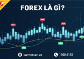 Chơi forex ở Việt Nam có hợp pháp không?