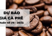 Dự báo giá cà phê tuần tới (15 - 20/2): Gói cứu trợ 1,9 nghìn tỷ USD tiếp tục ảnh hưởng tích cực đến thị trường
